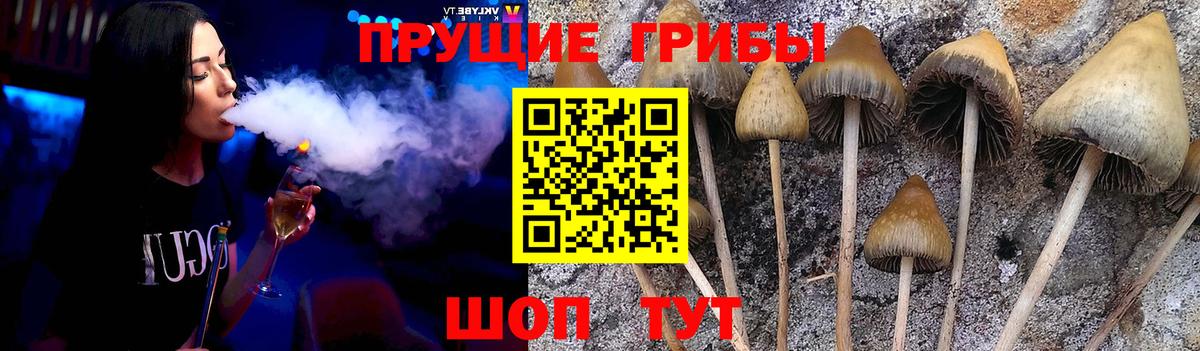 Галлюциногенные грибы мицелий Керчь